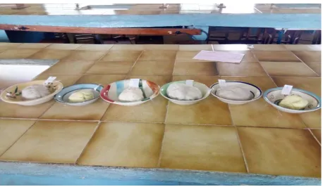 Fig 4. Samples of Pounded Yam produced by the fabricated machine and control 