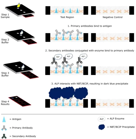 Figure 6: The three steps of the device and what occurs at the sensing area during each step