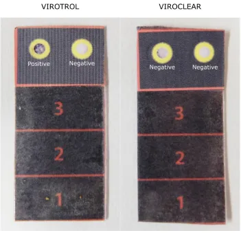 Figure 9: Positive result using VIROTROL® diluted by 100 times on the left strip. Negative result using VIROCLEAR® diluted by 100 times on the right strip