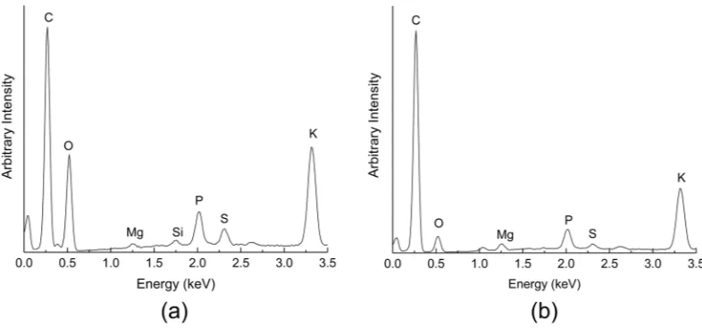 Figure 3. EDS spectra of mycelium (a) before and (b) after pyrolysis, respectively.