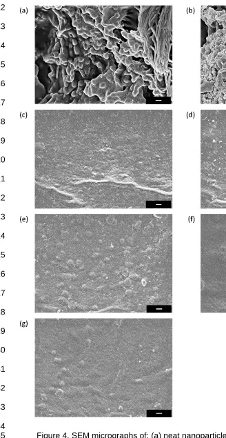 Figure 4. SEM micrographs of: (a) neat nanoparticles; (b) loaded NP2  solution; (e) HPMC film with 60% nanoparticle solution; (f) HPMC film with 30% nanoparticles; (c) neat HPMC film; (d) HPMC film with 30% neat nanoparticle NP2 solution and (g); HPMC film