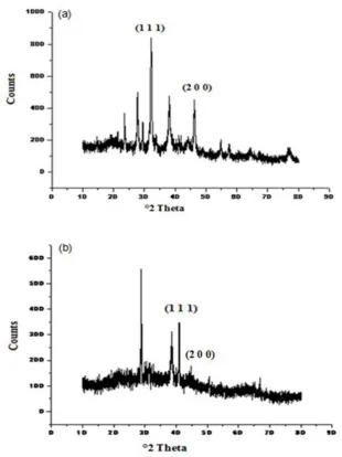 Fig. 3(a) XRD pattern peaks of silver nanoparticles synthesized by Solanum nigrum. (b) XRD pattern peaks of silver nanoparticles synthesized by Cardiospermum halicacabum