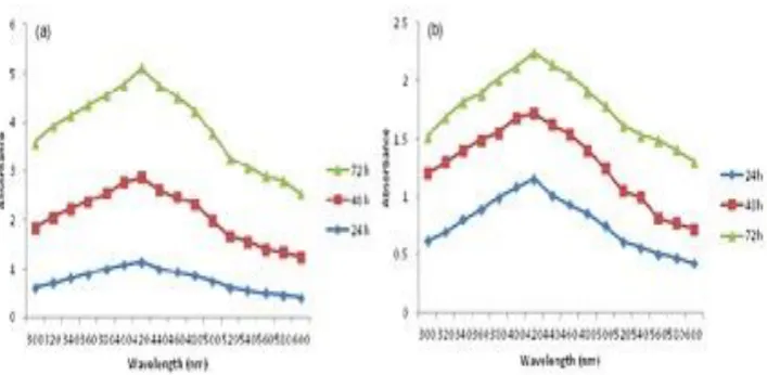 Fig. 1(a) UV-visible spectrum analysis of plant mediated silver nanoparticles synthesized by Solanum nigrum