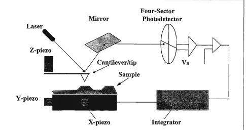 Figure 4.1 Schematic diagram of an atomic force microscope 