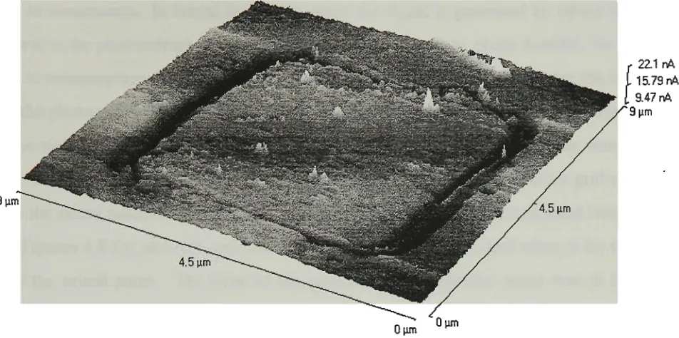 Figure 4.2 (a)the semiconductor The topographic image of the raised patch of Si02 on  grid, (b) The lateral force map obtained when the tip was scanned in the forward direction, (c) The lateral force map obtained when the tip was scanned in the backward (r