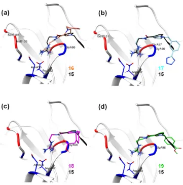 Figure 5. Conformations of compounds (Figure 5.15–19 inside the TCR binding pockets. The common backbone features have been implemented for the superimposition of the derivatives on analogue 15 (black); (a) with  Conformations of compounds16 (salmon); (b) 