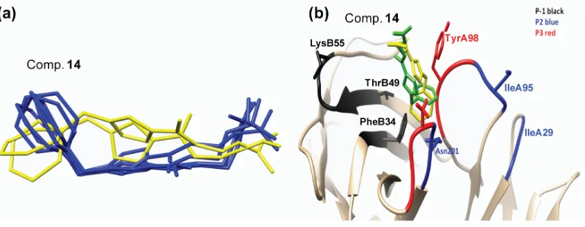 Figure 4.Figure 4. (a) Representative conformations of compound 14 inside the TCR as reported by the clustering analysis in the molecular dynamics (MD) simulations and (b) the positioning of analogue 14 representative conformations (yellow and green) insid