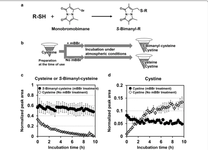 Fig. 1  Spontaneous chemical conversion of cysteine by reacting with atmospheric oxygen to produce cystine and effect to avoid the 