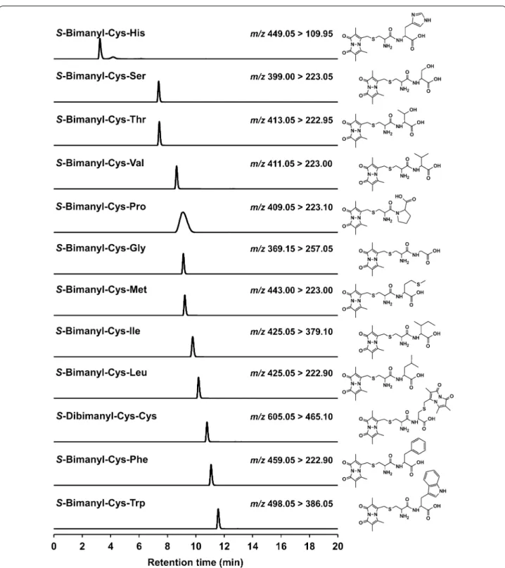 Fig. 2  Mass chromatograms of cysteine-containing dipeptide authentic standards derivatized with monobromobimane