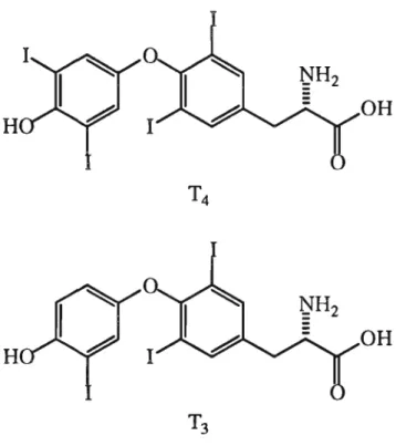 Figure 1.2 Structures of the thyroid hormones, thyroxine (T4) and triiodothyronine (T3)