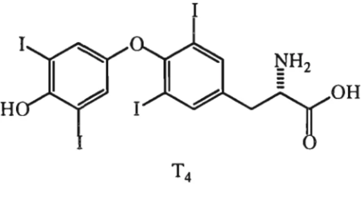 Figure 1.4 Structure of thyroxine  T ^ confirmed by Harington. 