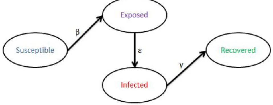 Figure 4: SEIR Model flow diagram