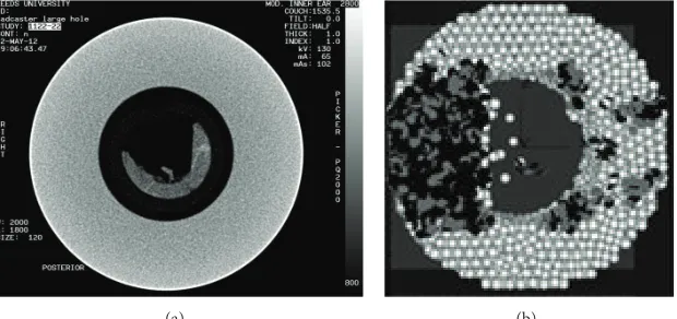 Figure 4: (a) Schematic of the virtual limestone model with the use of the DEM approach, (b) application of the fluid cell grid around a sliceof the sample, and (c) fluid velocity vectors indicating the horizontal fluid movement from the outside surface towards the hollow core [43].