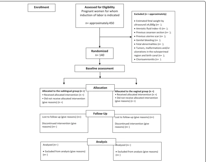 Fig. 1 Flowchart of procedures for participant selection and monitoring (CONSORT) [ 12 ]