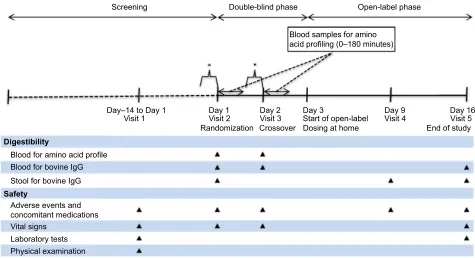 Figure 1 Study design and schedule of procedures.Notes: A screening period was followed by study visits on days 1, 2, 9 and 16