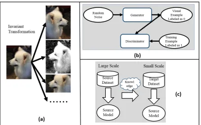 Fig 6. Adaptation to Examples. (a) is the label-invariant transformation on a dog, (b) characterizes the GAN and (c) is the mechanism of knowledge transfer between examples