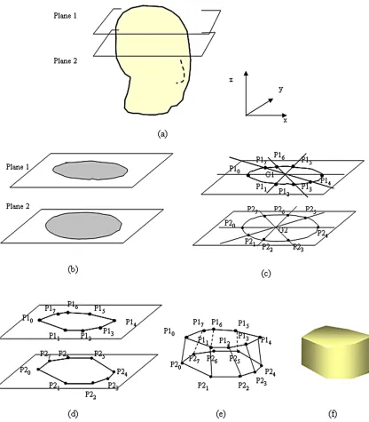 Figure 4. Production of the polygon and construction of the skull phantom from CT image