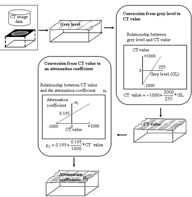 Figure 7. Procedure for obtaining a plane image from the CT data. (a) Addition of the attenuation coefficient in the project- ing direction; (b) Plane image