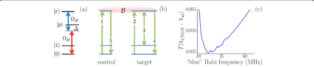 Figure 3 Simulation and characterization of the C-NOT gate: (a) The red (lower) and blue (upper) laser ﬁelds drive |0, via |p, into the Rydberg state |r by two-photon absorption