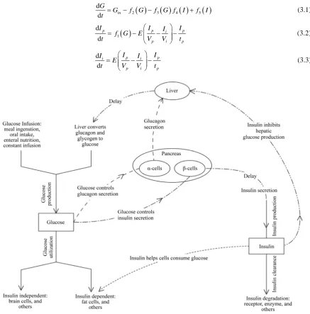 Figure 1. Two time delay glucose-insulin regulatory system model. The dash-dot-dot lines indicate that insulin inhibits hepatic glucose production with a time delay; the dash-dot lines indicate insulin secretion from the β cells simulated by elevated gluco