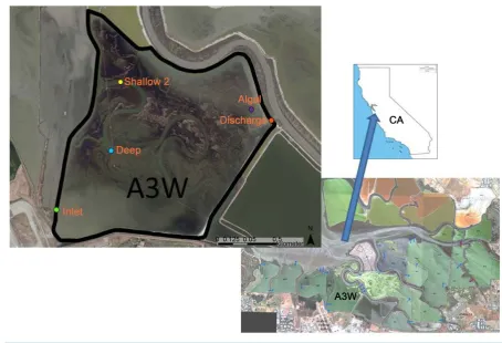 Figure 1. Salt Pond A3W location, satellite photos, and sampling locations.                                                      