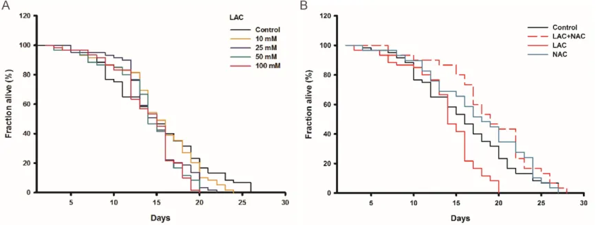 Figure 5. Lactose shortened lifespan of C. elegans through inducing oxidative stress in vivo