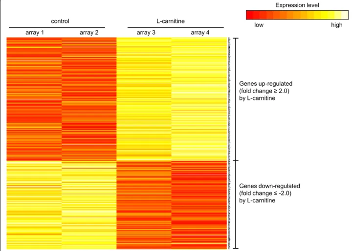 Figure 2 Heat map illustrating the level of expression for the differentially expressed genes identified as a response to feeding a diet containing 500 mg L-carnitine per kg diet