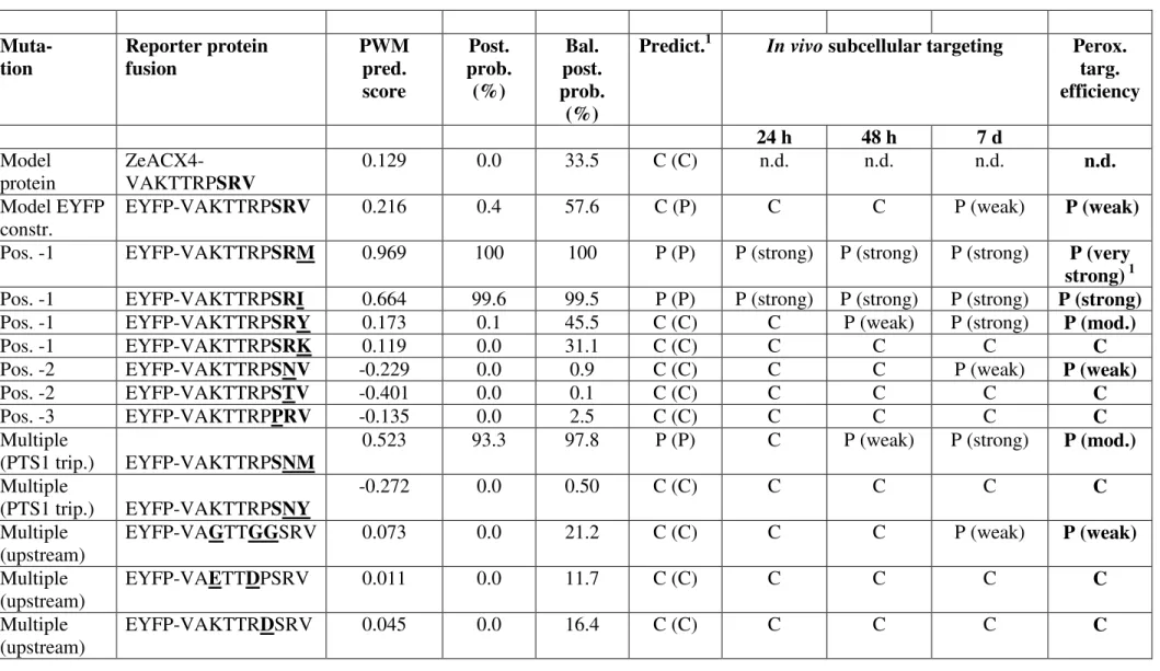 Table 1: Analysis of the effect of PTS1 domain mutations on the efficiency of in vivo peroxisome targeting of reporter protein fusions