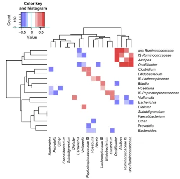 Figure 7 Firmicutes/Bacteroidetes ratio box-plot (left) and density plot (right).Notes: The box-plot provides the median values obtained from the samples according to the collection moment