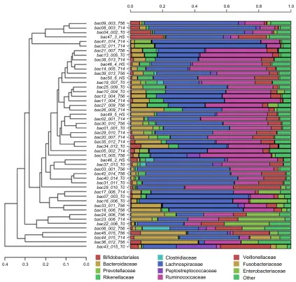 Figure 1 Hierarchical clustering of classified sequences, according to the order–family taxonomy levels for taxa participating with $10% in at least one sample