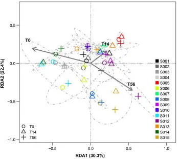 Figure 3 Boxplots of diversity index (simpson’s D) grouped according to samplings and non-constipated iBs/hs subjects.Notes: The corresponding mean values and also the mean values of the iBs- associated sampling groups are also provided on the top right-ha