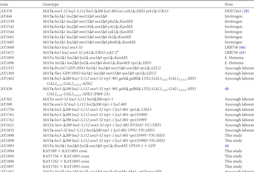 TABLE 1 Yeast strains used in this study