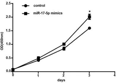 Figure 2. Overexpression of miR-17-5p promoted CAL-27 cell proliferation under hypoxia