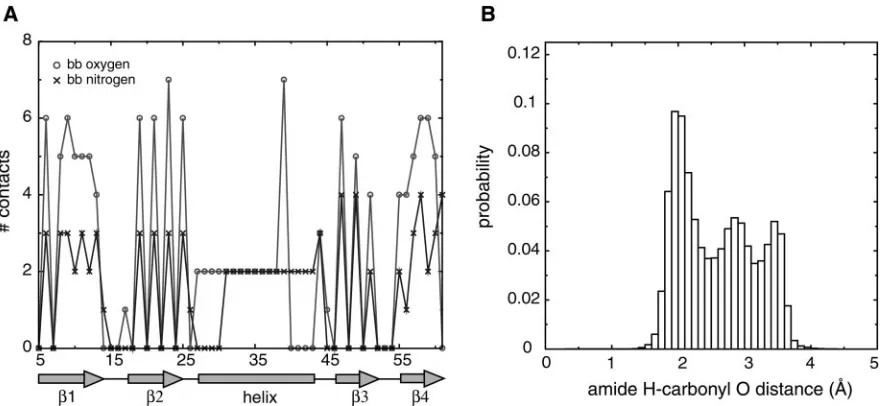 Fig. 1.Statistics for hydrogen-bonding potentials. (of protein G (Protein Data Bank code 1IGD)