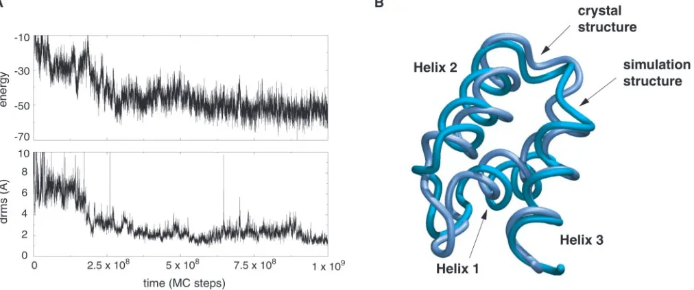 Fig. 3.Folding of a three-helix bundle protein. (course of both energy and drms from crystal structure