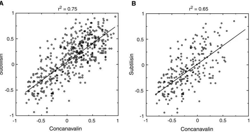 Fig. 5.Comparison of all-atom potentials derived from concanavalin (Protein Data Bank code 1NLS) and subtilisin (Protein Data Bank code 1GCI)