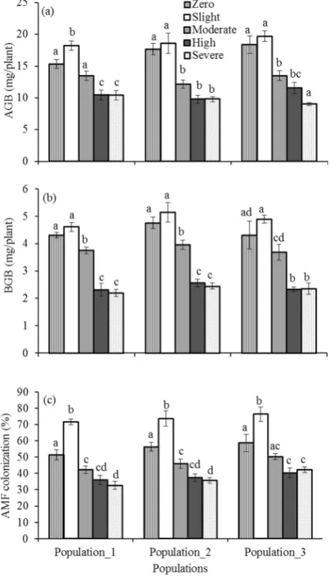 Figure 6. Influence of Phragmites australis invaded soil along density gradient on (a) above-ground biomass (AGB), (b) below-ground biomass (BGB), and (c) arbuscular mycorrhizal fungus (AMF) colonization of melaleuca ericifolia in three populations