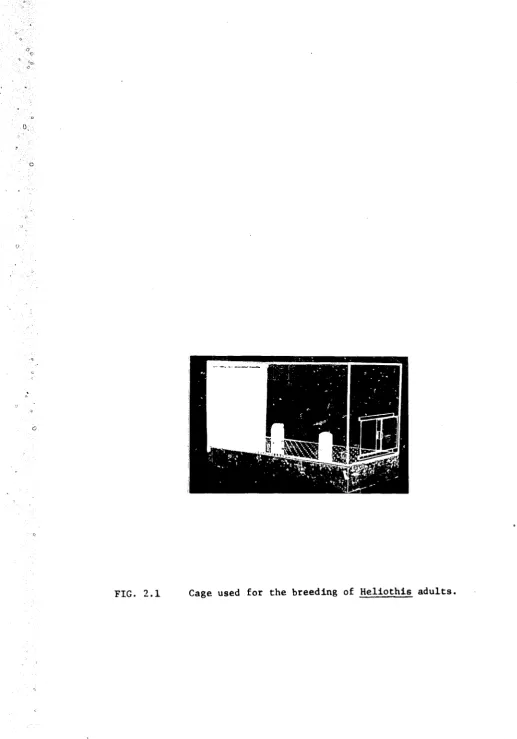 FIG. 2.1 
