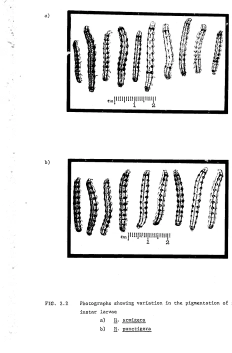 FIG. 2.2 