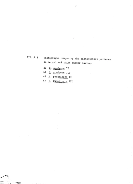 FIG. 2.3 