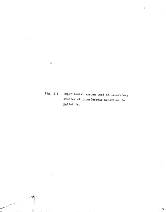 Fig. 3.1 