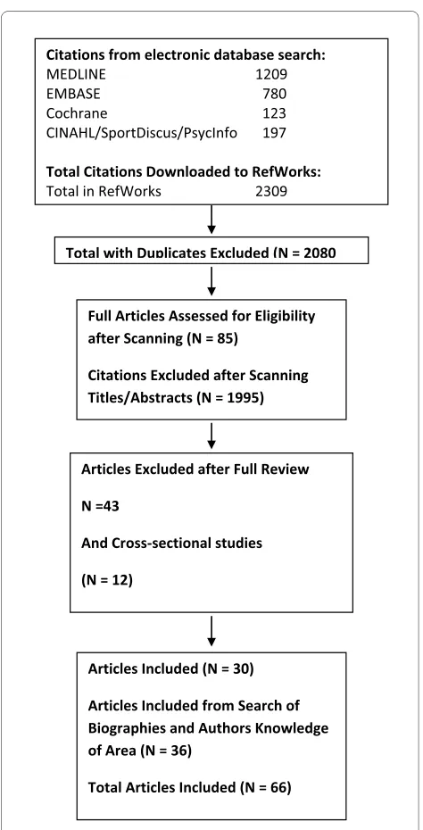 Figure 1 Results of the literature search for functional limitations.