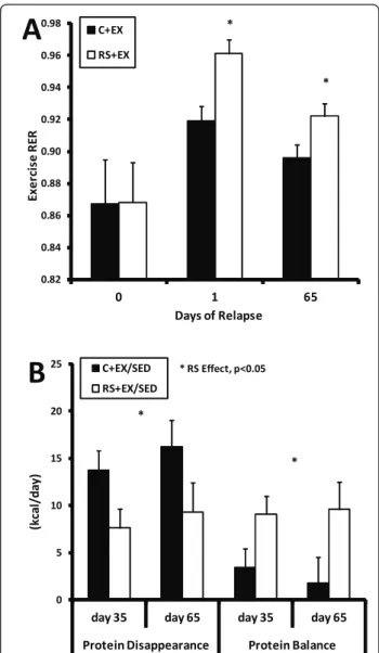 Figure 6 Fuel Utilization and Protein Balance. (A) The effect of dietary RS on steady-state RER during the exercise bout on days 0, 1 and 65 of relapse is shown