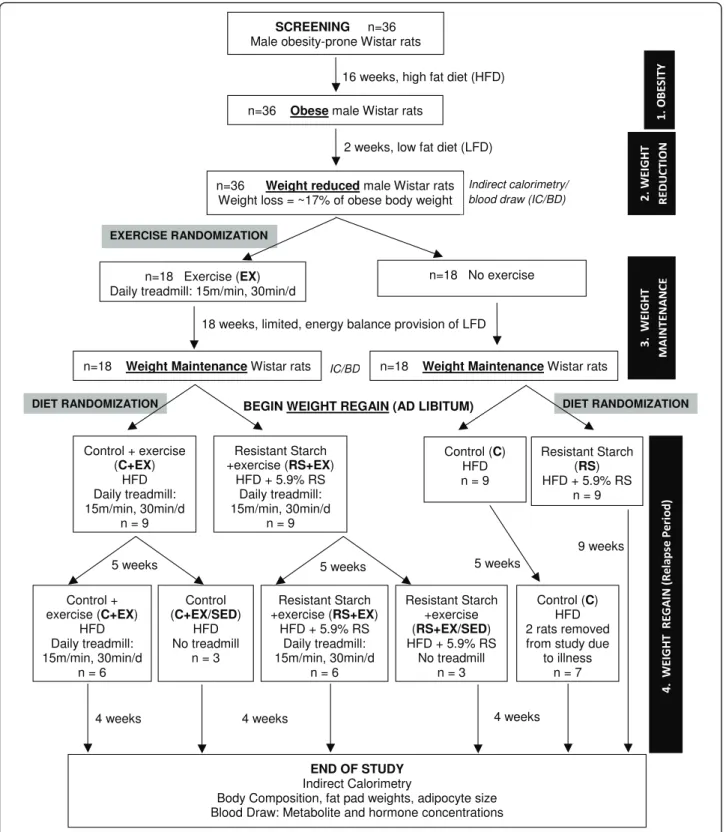 Figure 1 Schematic for overall study design.