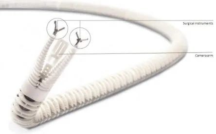 Figure 10 Experimental platform for scarless surgery developed by MiMed/TU 