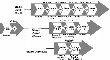 Figure 2. An overview of the next generation stag-gate (Source: (Cooper, 2008)). 