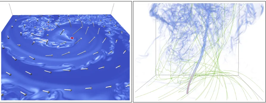 Figure 4. Showcase of Slice and Barb Renderers (4a), and Volume and Flow Renderers (4b).