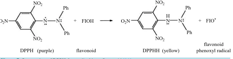 Figure 6. Structural features of flavonoid with a high radical scavenging activity [29]