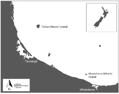 Figure 2.1. Map indicating the location of study sites, Moutohora and Tuhua Islands, in the 