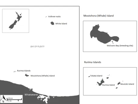 Figure 3.1. Map of the Whakatane region of the Bay of Plenty, New Zealand. 
